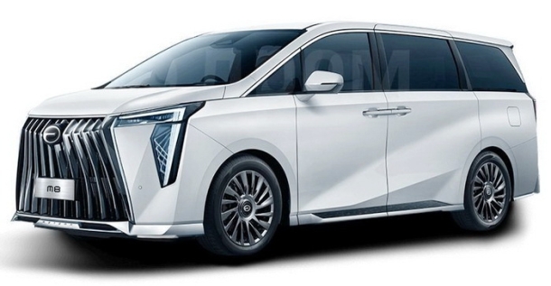 Двухслойные коврики EVA для GAC M8 (2023->)