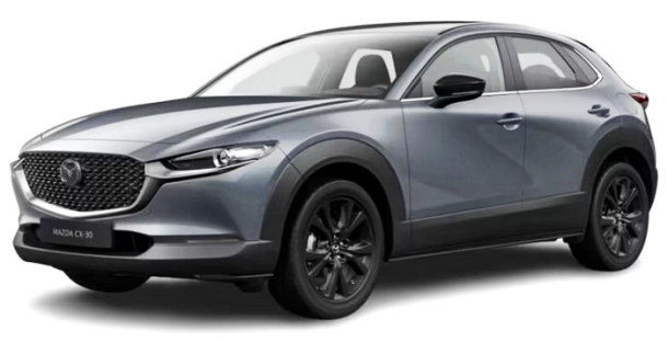 Двухслойные коврики EVA для Mazda CX-30 (2019->)